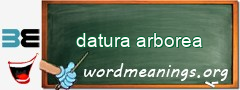 WordMeaning blackboard for datura arborea